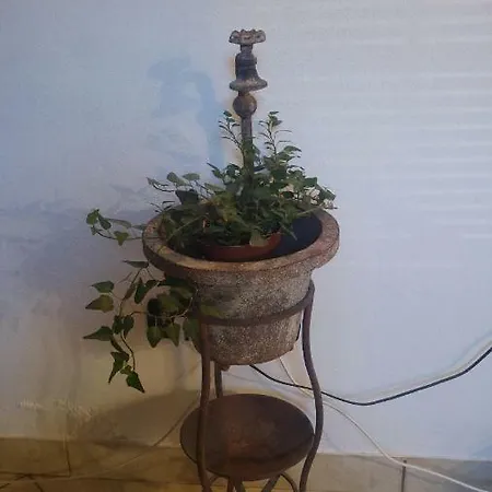 Borghello 2level Airport