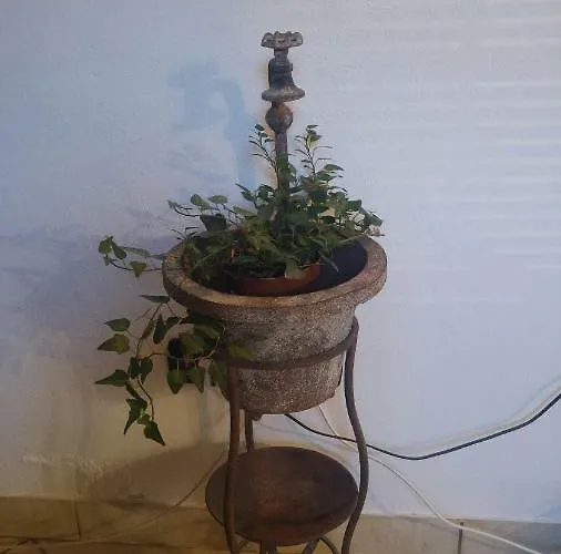 Borghello 2level Airport